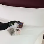 Moevenpick Muenchen-airport Hotel Hallbergmoos